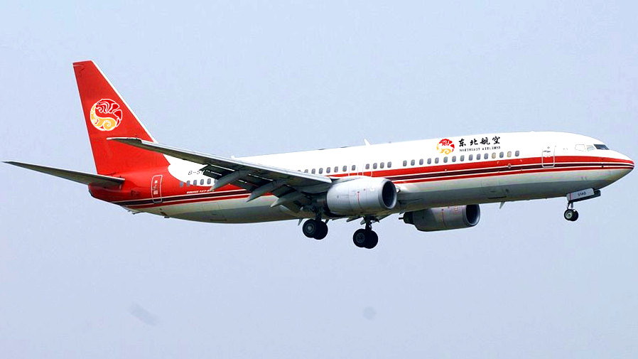 耀彩网工业集团入股东北航空有限公司